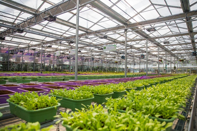 新品速遞|一款帶屏顯的數(shù)字式溫濕度傳感器